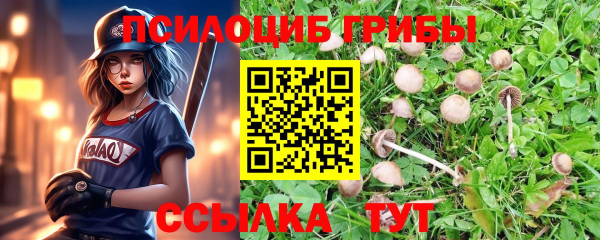 Астрахань  Псилоцибиновые грибы мухоморы  Вход с VPN 