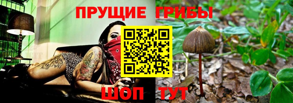 Галлюциногенные грибы GOLDEN TEACHER Астрахань
